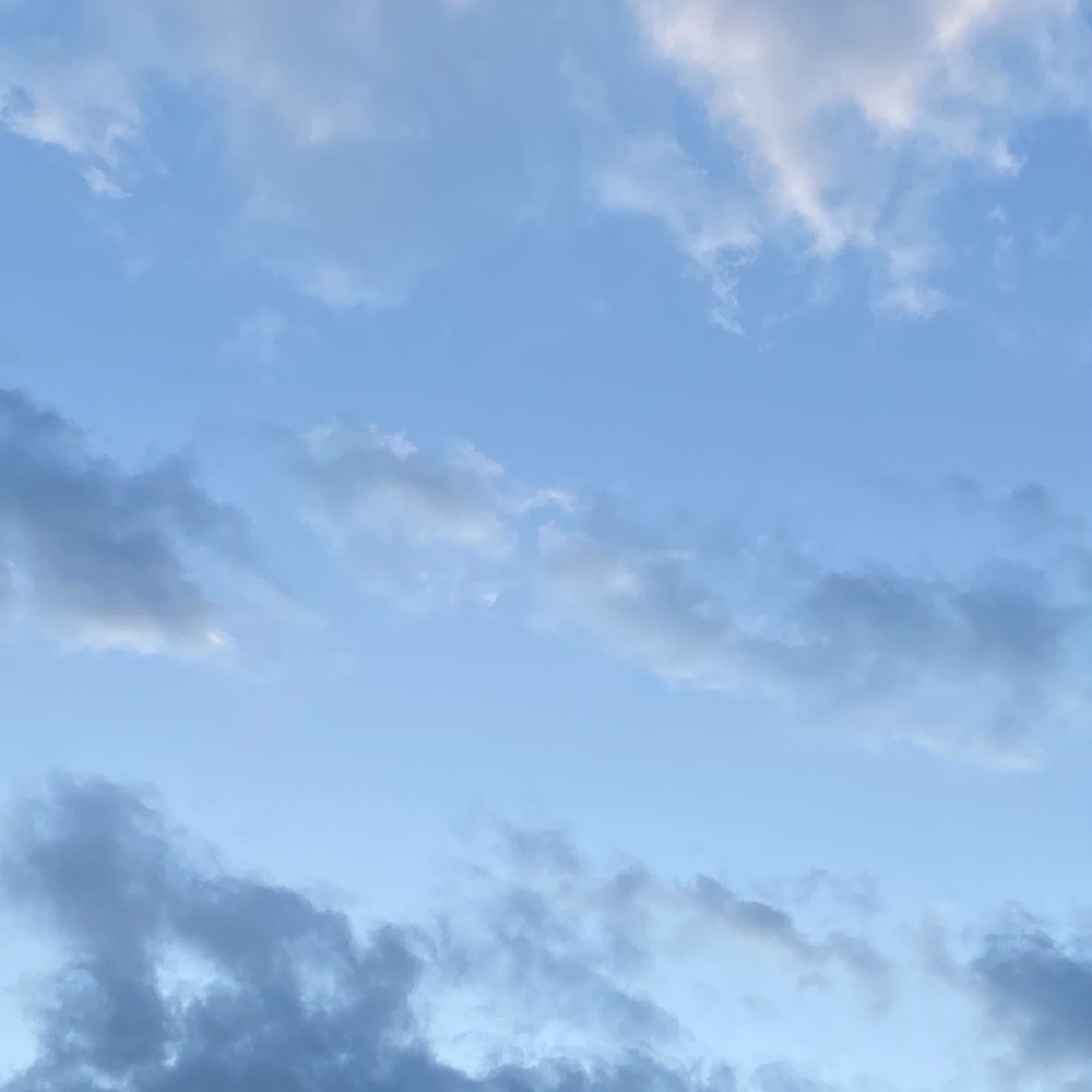 Meet your Posher, Layla